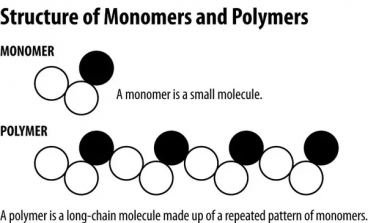 Polymers means many monomers